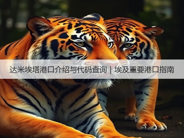达米埃塔港口介绍与代码查询｜埃及重要港口指南(图2)