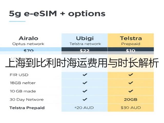 上海到比利时海运费用与时长解析(图1)
