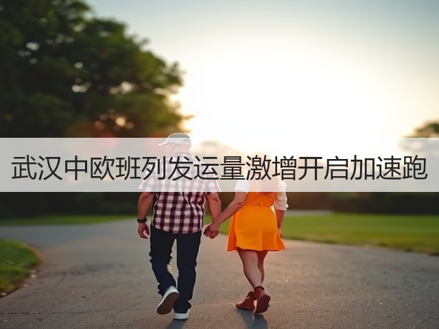 武汉中欧班列发运量激增开启加速跑(图2)