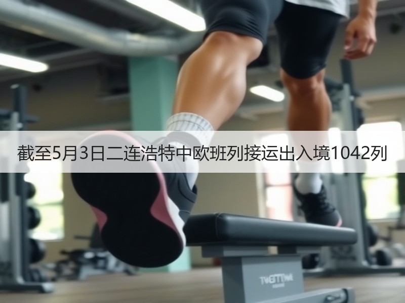 截至5月3日二连浩特中欧班列接运出入境1042列