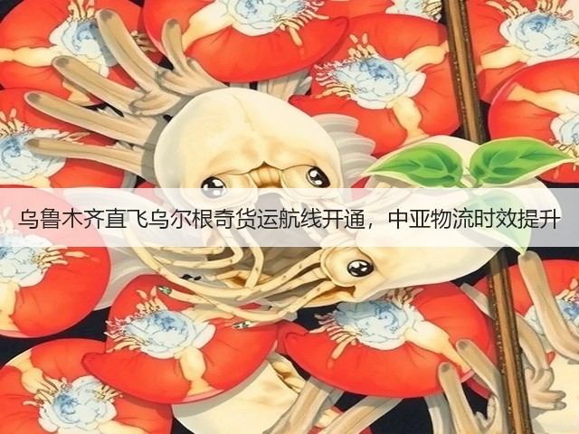 乌鲁木齐直飞乌尔根奇货运航线开通，中亚物流时效提升(图3)