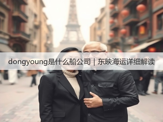 dongyoung是什么船公司｜东映海运详细解读(图1)