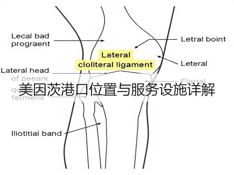 美因茨港口位置与服务设施详解