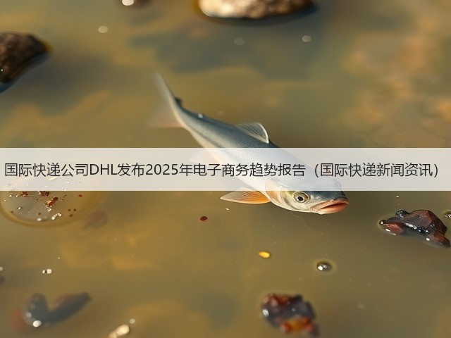 国际快递公司DHL发布2025年电子商务趋势报告（国际快递新闻资讯）(图3)