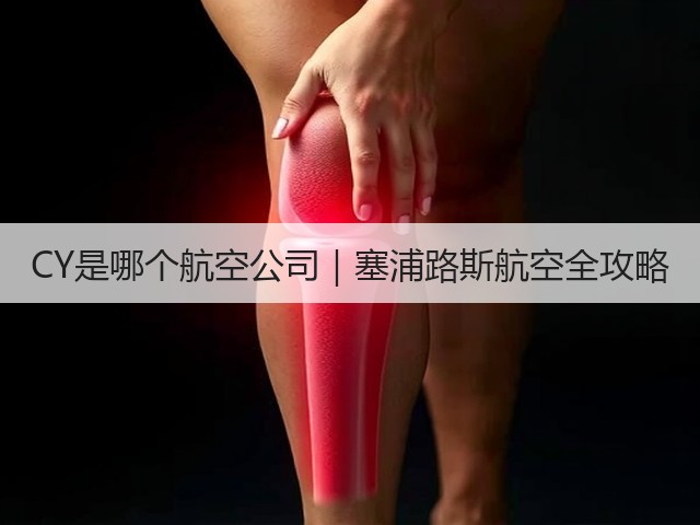 CY是哪个航空公司|塞浦路斯航空全攻略(图2) CY是哪个航空公司|塞浦路斯航空全攻略(图2)