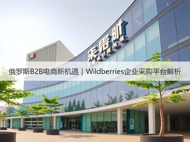 俄罗斯B2B电商新机遇｜Wildberries企业采购平台解析(图2)