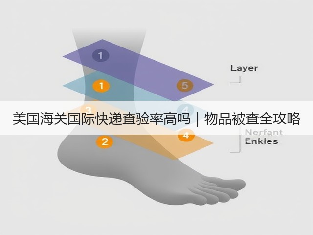 美国海关国际快递查验率高吗｜物品被查全攻略(图1)