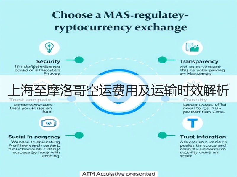 上海至摩洛哥空运费用及运输时效解析
