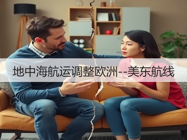 地中海航运调整欧洲--美东航线(图3) 地中海航运调整欧洲--美东航线(图3)