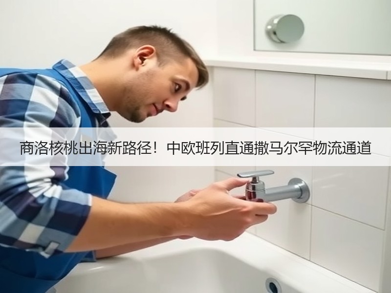 商洛核桃出海新路径！中欧班列直通撒马尔罕物流通道