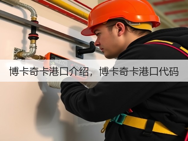 博卡奇卡港口介绍，博卡奇卡港口代码(图3)