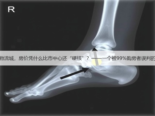 郑州西区国际物流城,房价凭什么比市中心还“硬核”?——一个被99%购房者误判的价值洼地真相(图3) 郑州西区国际物流城,房价凭什么比市中心还“硬核”?——一个被99%购房者误判的价值洼地真相(图3)