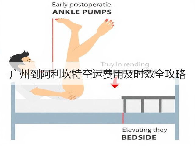 广州到阿利坎特空运费用及时效全攻略(图1) 广州到阿利坎特空运费用及时效全攻略(图1)