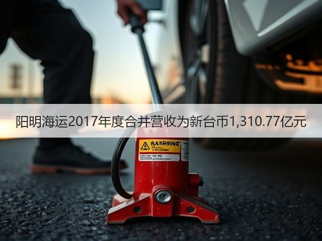 阳明海运2017年度合并营收为新台币1,310.77亿元(图3)