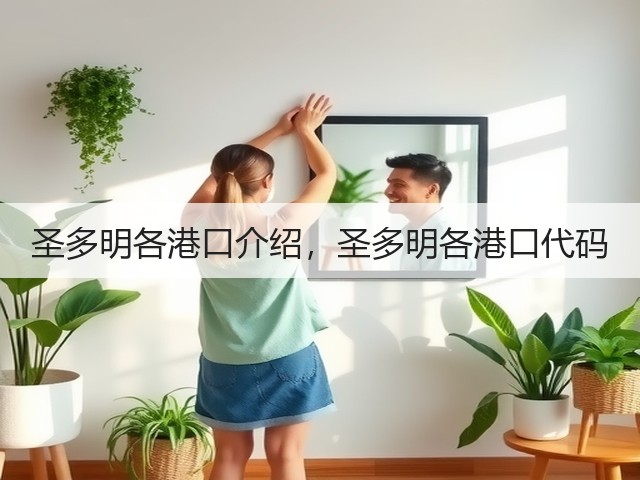 圣多明各港口介绍，圣多明各港口代码(图2)