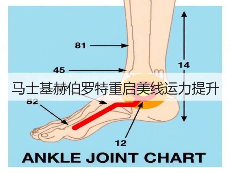 马士基赫伯罗特重启美线运力提升 马士基赫伯罗特重启美线运力提升