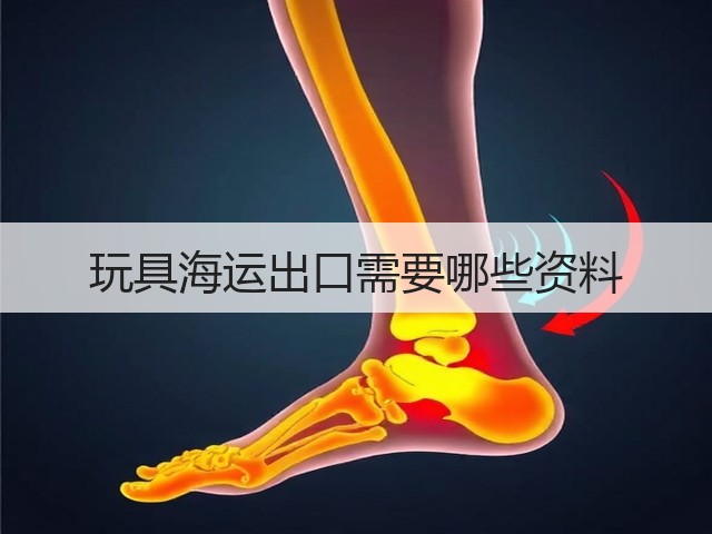 玩具海运出口需要哪些资料(图3) 玩具海运出口需要哪些资料(图3)