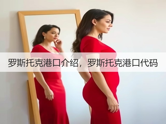 罗斯托克港口介绍，罗斯托克港口代码(图3)