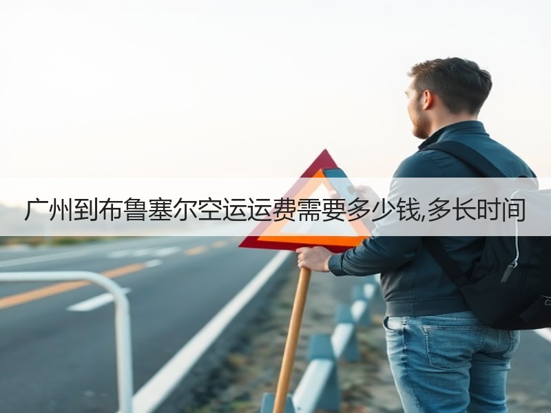 广州到布鲁塞尔空运运费需要多少钱,多长时间