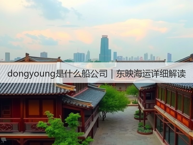 dongyoung是什么船公司｜东映海运详细解读