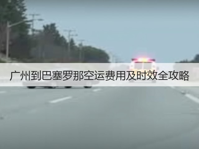 广州到巴塞罗那空运费用及时效全攻略(图2) 广州到巴塞罗那空运费用及时效全攻略(图2)