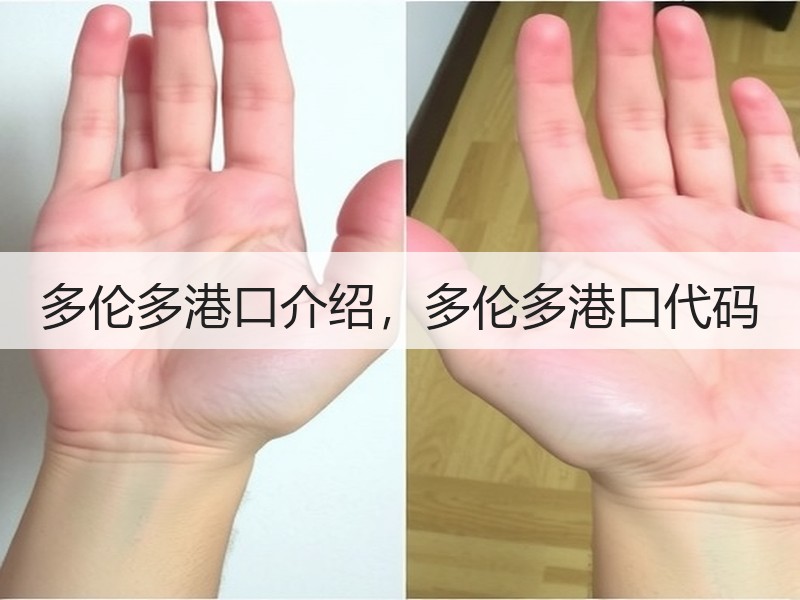 多伦多港口介绍，多伦多港口代码