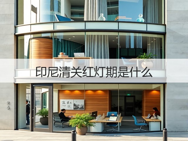 印尼清关红灯期是什么(图3)