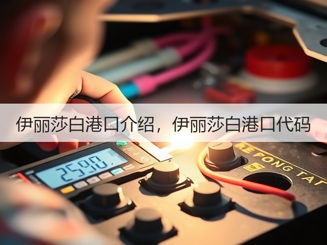 伊丽莎白港口介绍,伊丽莎白港口代码(图1) 伊丽莎白港口介绍,伊丽莎白港口代码(图1)
