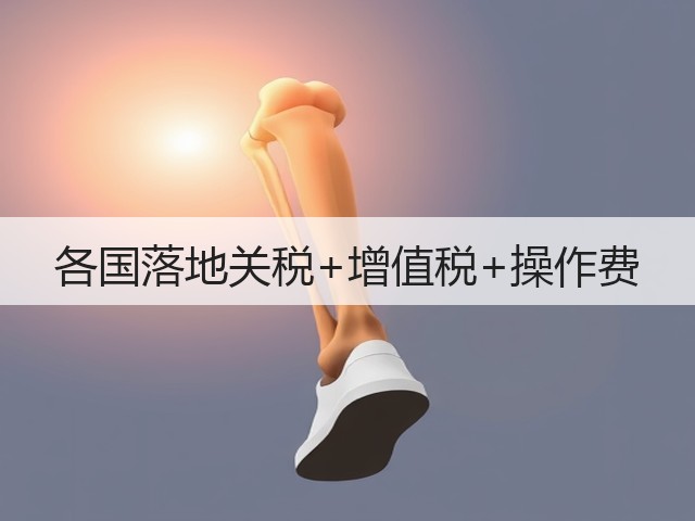 各国落地关税+增值税+操作费(图3) 各国落地关税+增值税+操作费(图3)