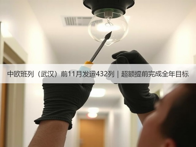 中欧班列（武汉）前11月发运432列｜超额提前完成全年目标(图1)