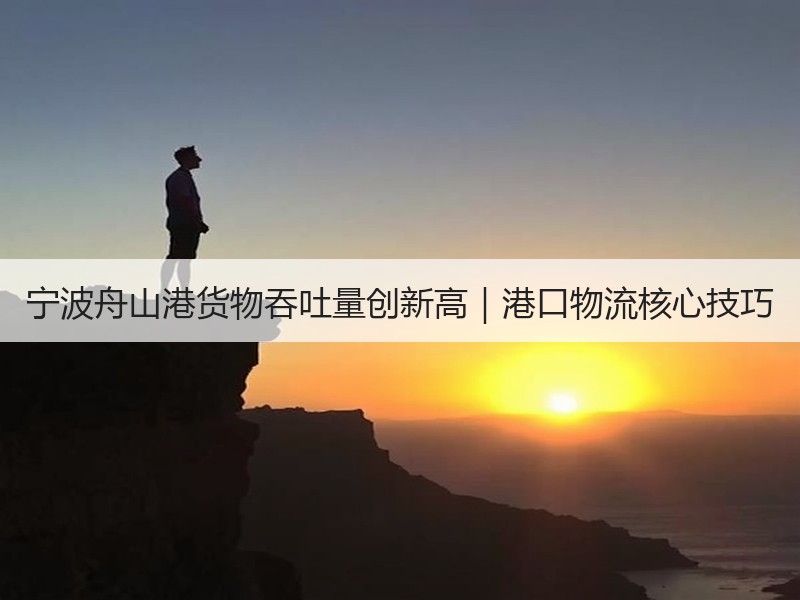宁波舟山港货物吞吐量创新高｜港口物流核心技巧
