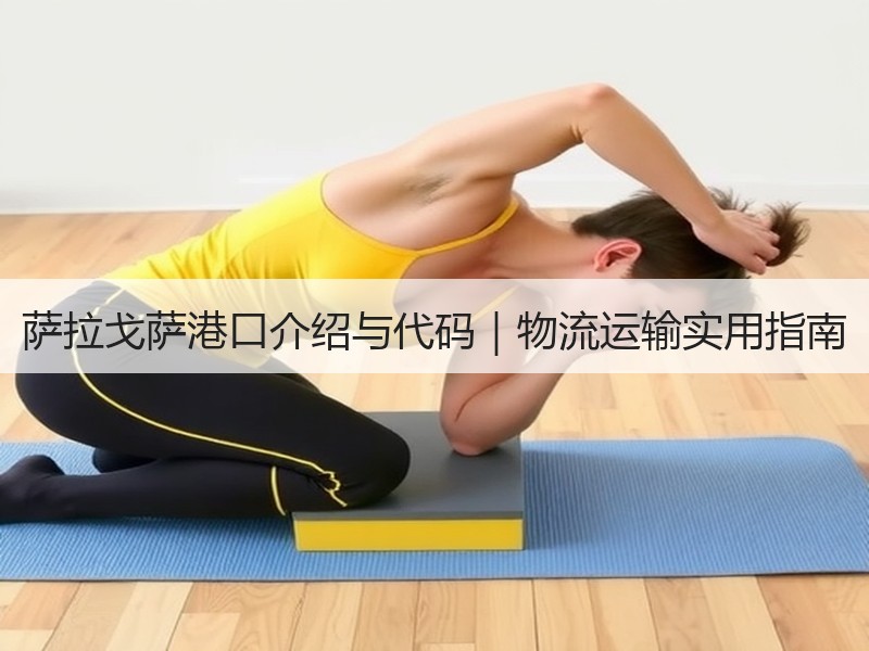 萨拉戈萨港口介绍与代码｜物流运输实用指南