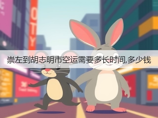 崇左到胡志明市空运需要多长时间,多少钱(图1)