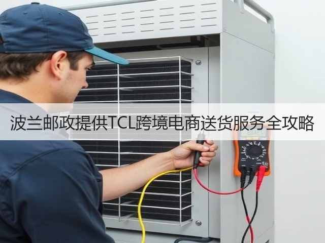波兰邮政提供TCL跨境电商送货服务全攻略(图3)
