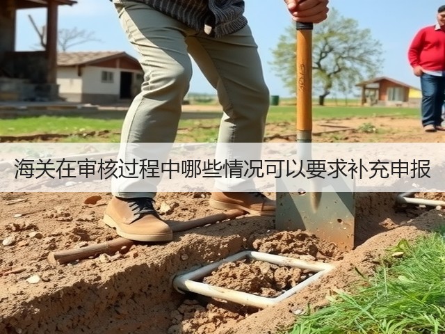 海关在审核过程中哪些情况可以要求补充申报(图3)