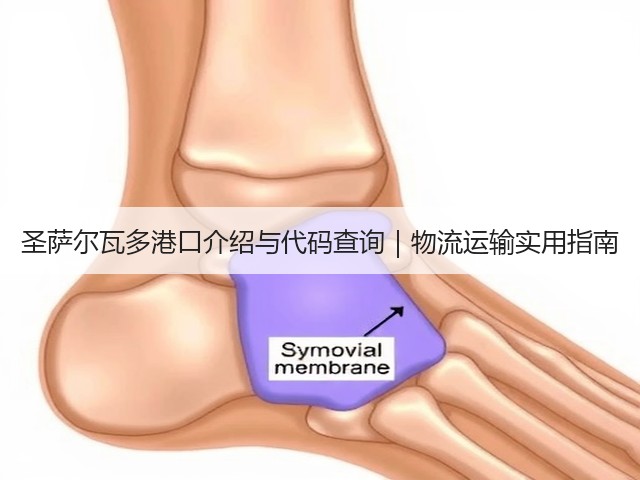 圣萨尔瓦多港口介绍与代码查询｜物流运输实用指南(图1)