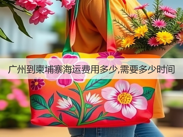 广州到柬埔寨海运费用多少,需要多少时间(图3)