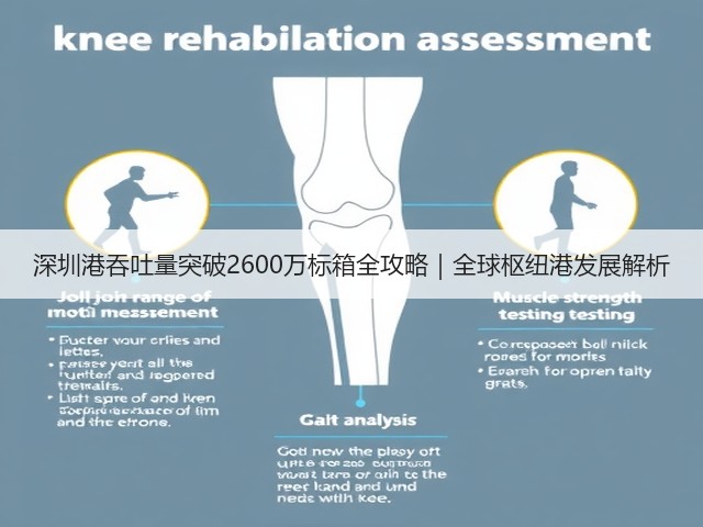 深圳港吞吐量突破2600万标箱全攻略｜全球枢纽港发展解析(图1)