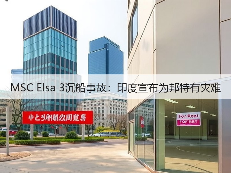 MSC Elsa 3沉船事故：印度宣布为邦特有灾难