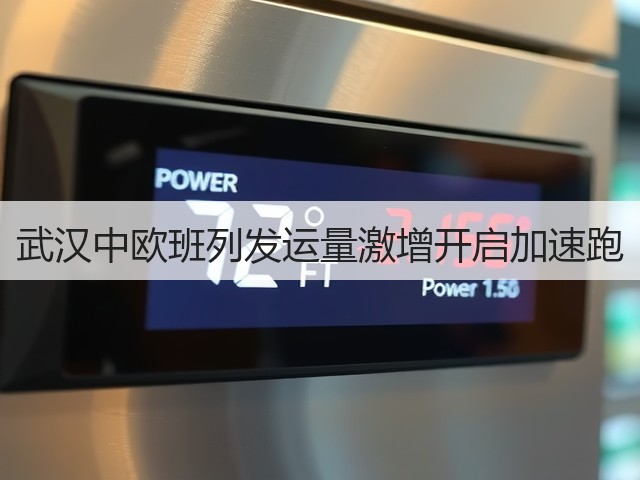武汉中欧班列发运量激增开启加速跑(图1)