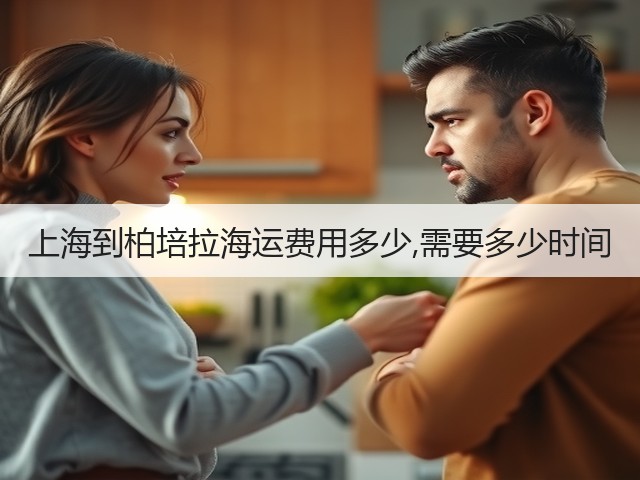上海到柏培拉海运费用多少,需要多少时间(图3)