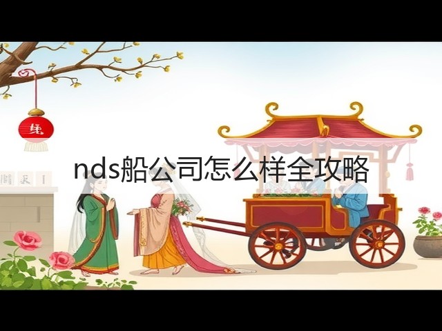 nds船公司怎么样全攻略(图3)
