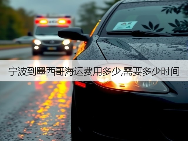 宁波到墨西哥海运费用多少,需要多少时间(图1)