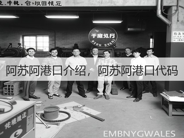 阿苏阿港口介绍,阿苏阿港口代码(图2) 阿苏阿港口介绍,阿苏阿港口代码(图2)