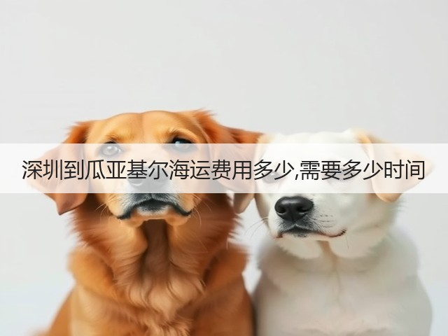 深圳到瓜亚基尔海运费用多少,需要多少时间(图2)