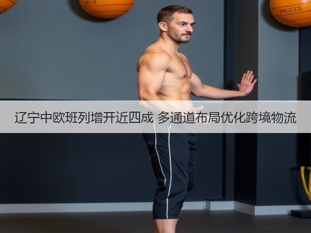 辽宁中欧班列增开近四成 多通道布局优化跨境物流(图3)