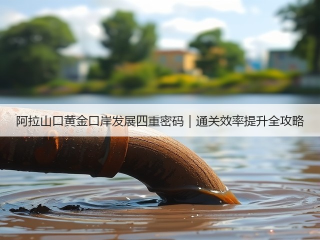 阿拉山口黄金口岸发展四重密码|通关效率提升全攻略(图2) 阿拉山口黄金口岸发展四重密码|通关效率提升全攻略(图2)