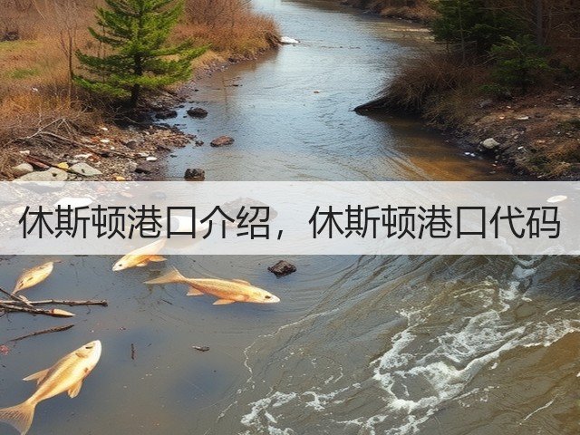 休斯顿港口介绍,休斯顿港口代码(图2) 休斯顿港口介绍,休斯顿港口代码(图2)