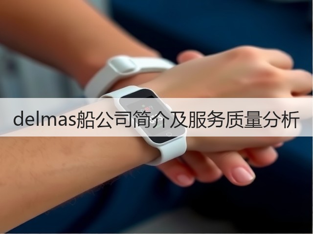 delmas船公司简介及服务质量分析(图3)