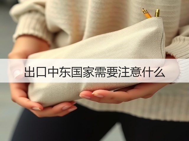 出口中东国家需要注意什么(图2)